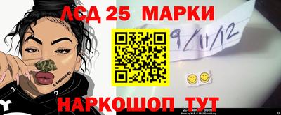гидропоника Заводоуковск