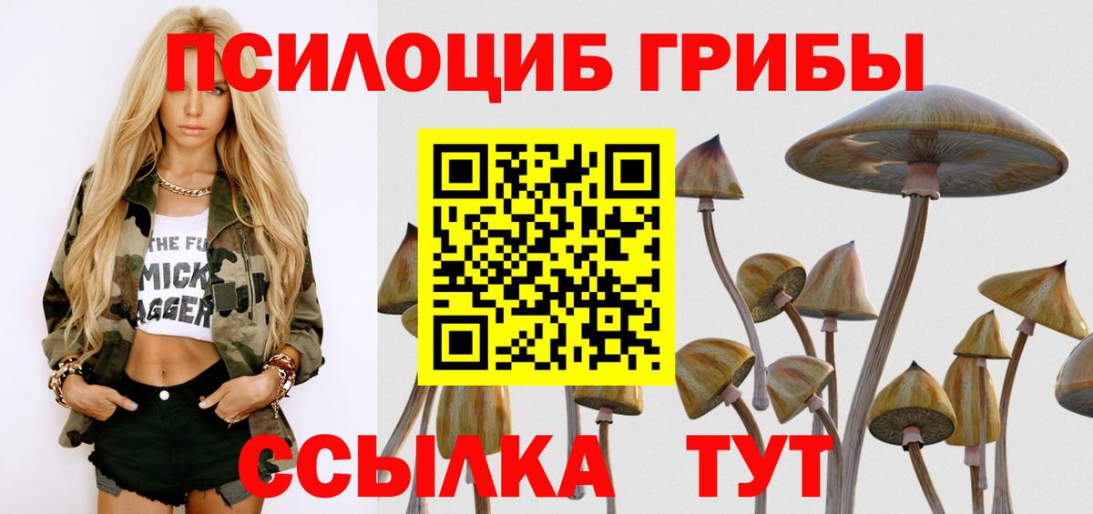 Галлюциногенные грибы мухоморы Стерлитамак